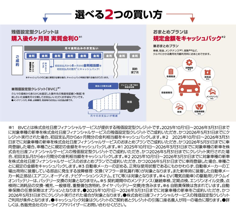 選べる2つの買い方