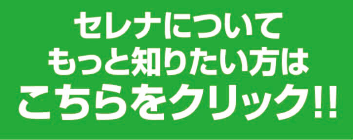 セレナについてもっと知りたい方はこちらをクリック！！
