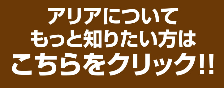 アリアについてもっと知りたい方はこちらをクリック！！