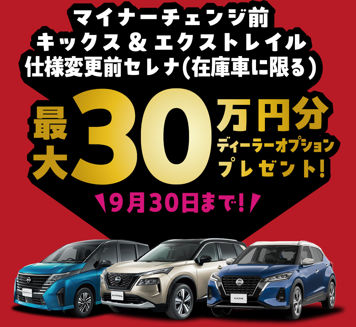 最大30万円ディーラーオプションプレゼント!