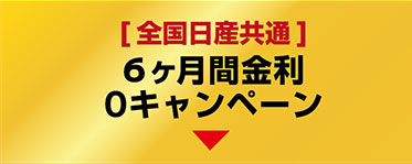 6ヶ月間金利0キャンペーン