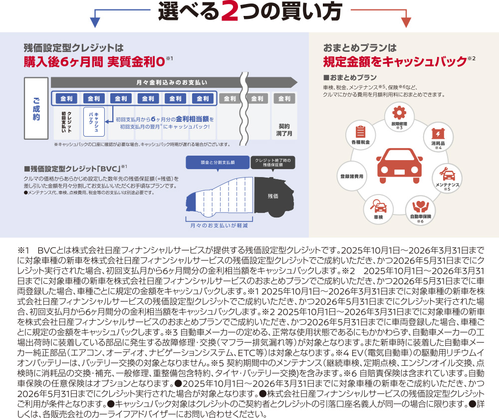 選べる2つの買い方